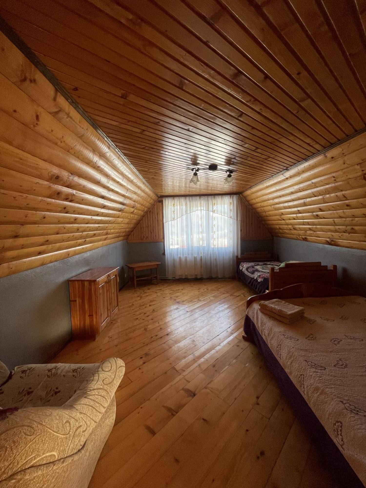 дикий ліс