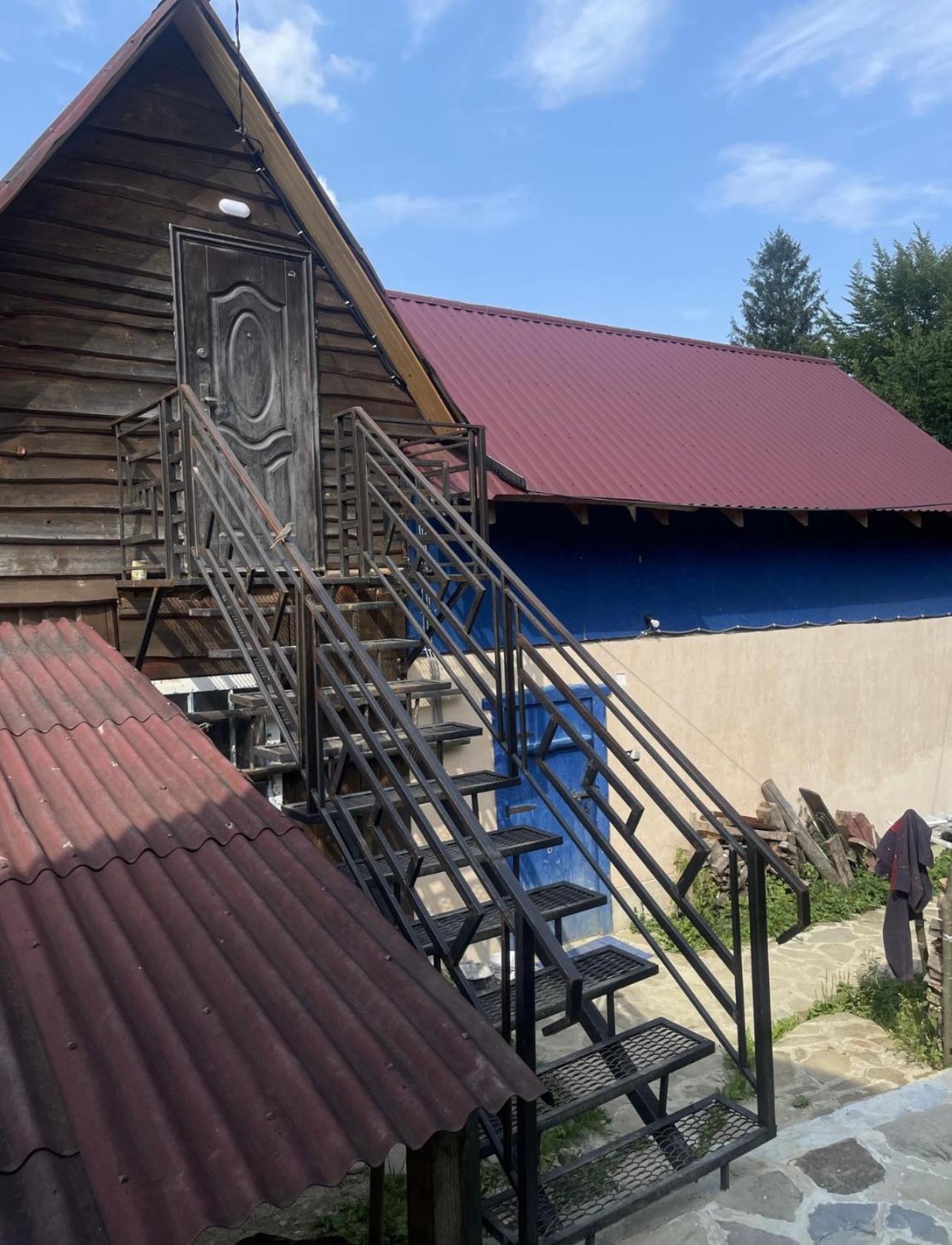 дикий ліс *